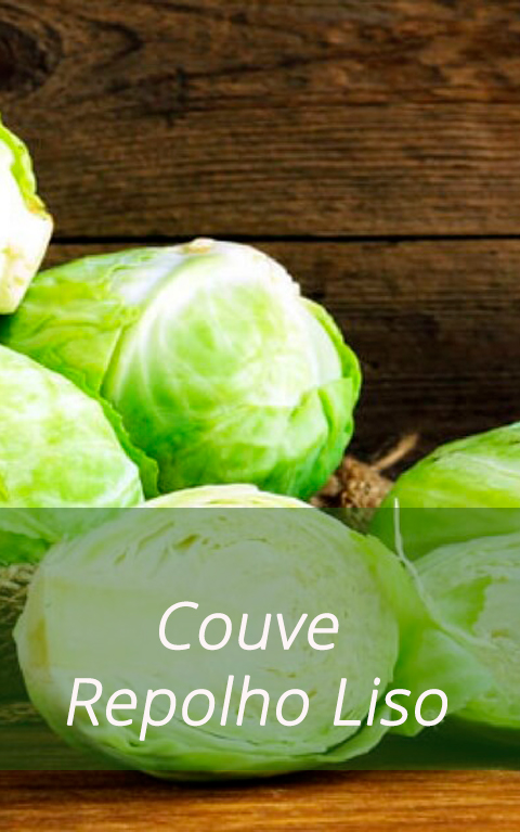 M SLIDESHOW  COUVE REPOLHO LISO