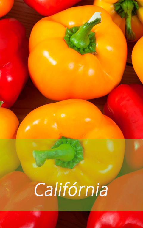 M SLIDESHOW  CALIFRNIA