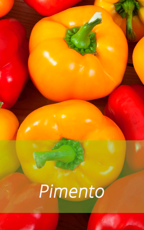 Pimento